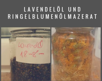 löwenzahnsirup (10)